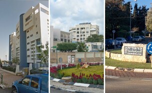כרמליה בחיפה, אם המושבות בפתח תקווה, אחוזת הנשיא ברחובות (צילום: google maps, shutterstock)