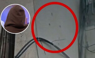הדיירת שהושלך רימון הלם לבניינה (צילום: שישי בבוקר, קשת 12)
