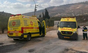זירת הפיגוע בשומרון (צילום: תיעוד מבצעי מד"א)