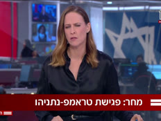 20mushmedet_vtr2_n20260727_v1 (צילום: חדשות)