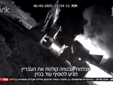 20protection_vtr2_n20260727_v1 (צילום: חדשות)
