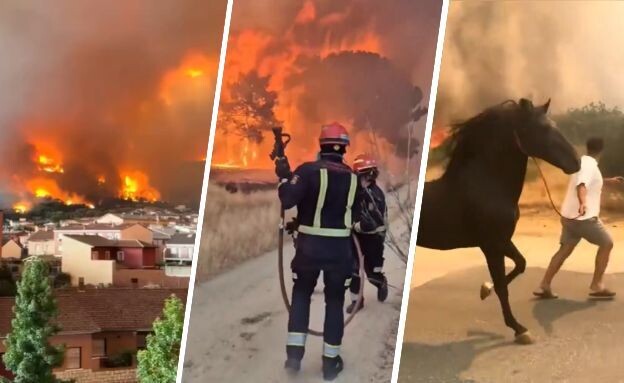 שריפות ענק בצרפת (צילום: לפי סעיף 27א' לחוק זכויות יוצרים)