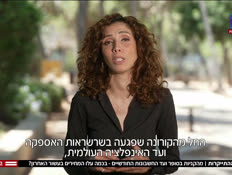 20partimehirim_vtr2_n20260728_v1 (צילום: חדשות)