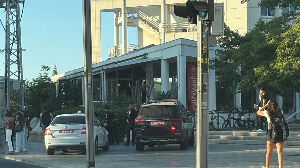 משטרה ליד הגפניקה באוניברסיטה