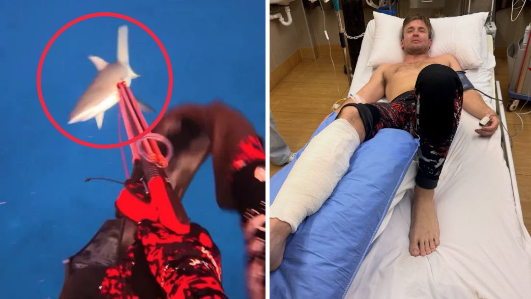 תיעד את הכריש נושך את רגלו – וניצל מהתקיפה