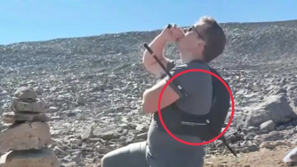 דייוויד סיפאלדי