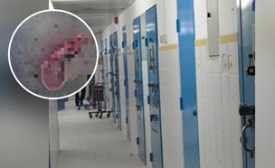 תקיפה בכלא (צילום: שירות בתי הסוהר)