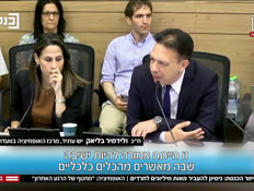 20pizzur_vtr2_n20260729_v1 (צילום: חדשות)