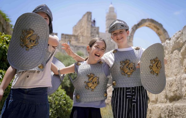 מצודת דוד מצודת דוד