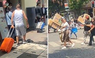 עוקץ עגלות מקסיקו (צילום: לפי סעיף 27א' לחוק זכויות יוצרים)