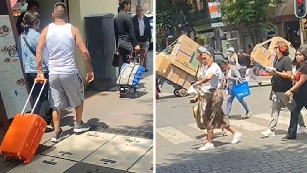 עוקץ עגלות מקסיקו עוקץ עגלות מקסיקו