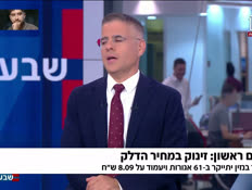 19hili_vtr2_n20260730_v1 (צילום: חדשות)