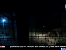20nitzanvtr_vtr2_n20260730_v1 (צילום: חדשות)