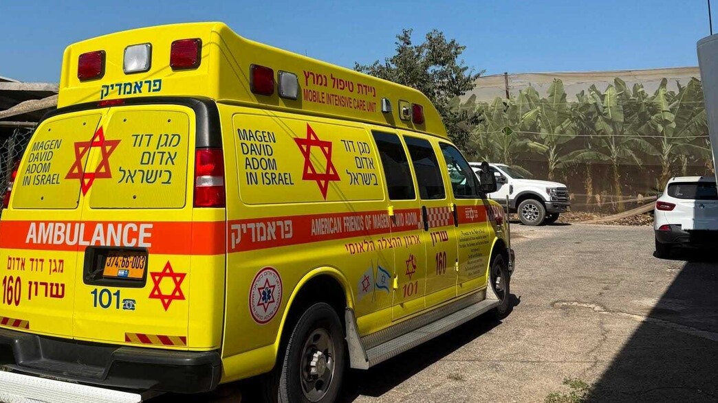 הזירה בחוף הכרמל הזירה בחוף הכרמל
