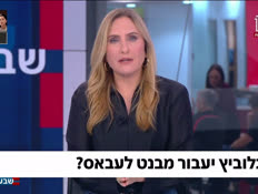19segalovitch_vtr2_n202600802_v1 (צילום: חדשות)