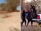 אין ניצולים: מטוס תיירים התרסק בפרו – 13 בני אדם נספו