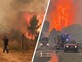 העולם בוער: מכרתים ועד וושינגטון - עשרות אלפי תושבים ותיירים נמלטו משרפות הענק