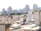 Compensation for former Soviet Union immigrants who were buried in separate plots in Petah Tikva