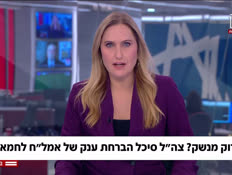 20almog_vtr2_n20260805_v1 (צילום: חדשות)