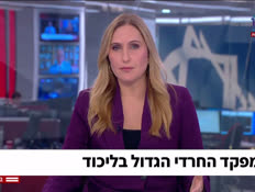 20dafnaliel_vtr2_n20260805_v1 (צילום: חדשות)