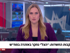 20yulan_vtr2_n20260805_v1 (צילום: חדשות)