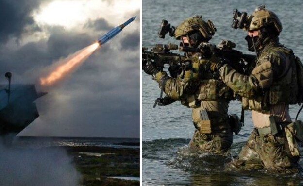 כוחות מהמדינה ומערכות של הברית (צילום: Raytheon | Froemandskorpset)