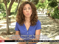 20divorce_vtr2_n20260806_v1 (צילום: חדשות)