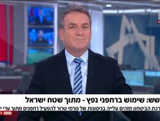 20nitzanrahfan_vtr2_n20260806_v1 (צילום: חדשות)