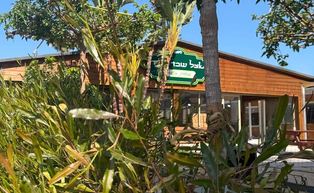 אצל עובד בעיר נפתח להרצה אצל עובד בעיר נפתח להרצה