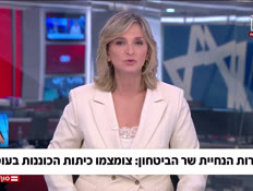 20almogkonenut_vtr2_n20260808_v1 (צילום: חדשות)