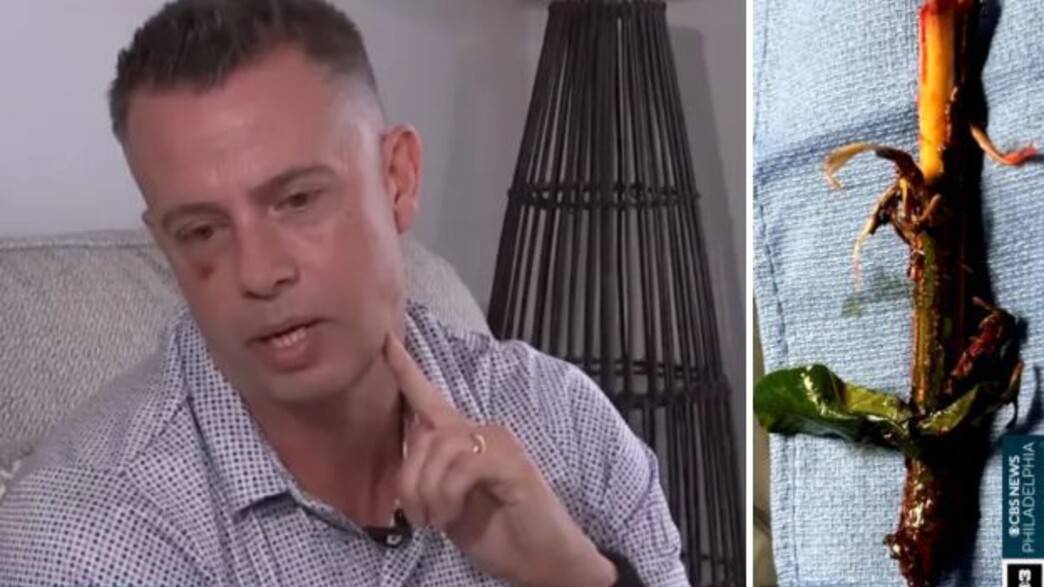 טרוי האת'וויי טרוי האת'וויי