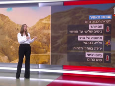 20mezeg1_vtr2_n20260809_v1 (צילום: חדשות)