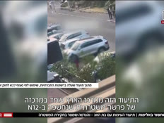 20singer_vtr2_n20260809_v1 (צילום: חדשות)