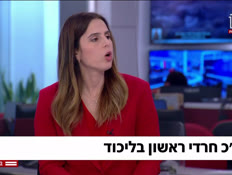 20dafnatwo_vtr2_n20260810_v1 (צילום: חדשות)