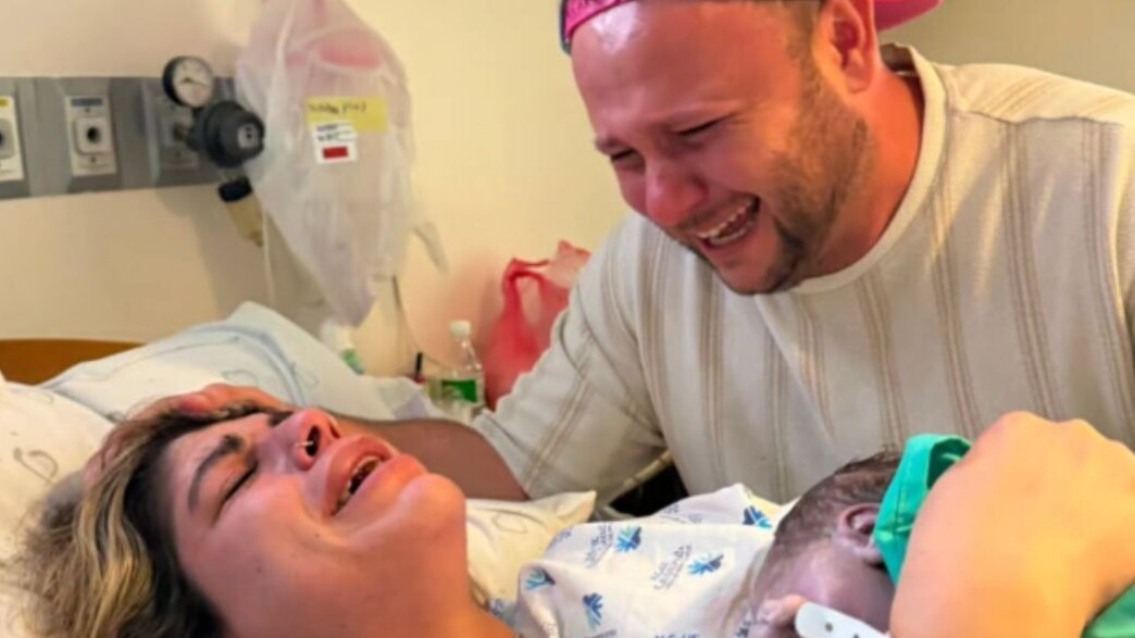 אלכס שולץ לידה אלכס שולץ לידה