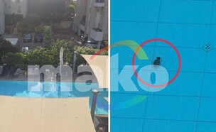 הרימון שנזרק לבריכה במתחם כוכב הצפון
