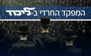 המפקד החרדי בליכוד (צילום: N12)