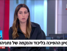 20dafnathree_vtr2_n20260811_v1 (צילום: חדשות)