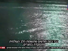 20hemoplitimspainvtr_vtr2_n20260811_v1 (צילום: חדשות)