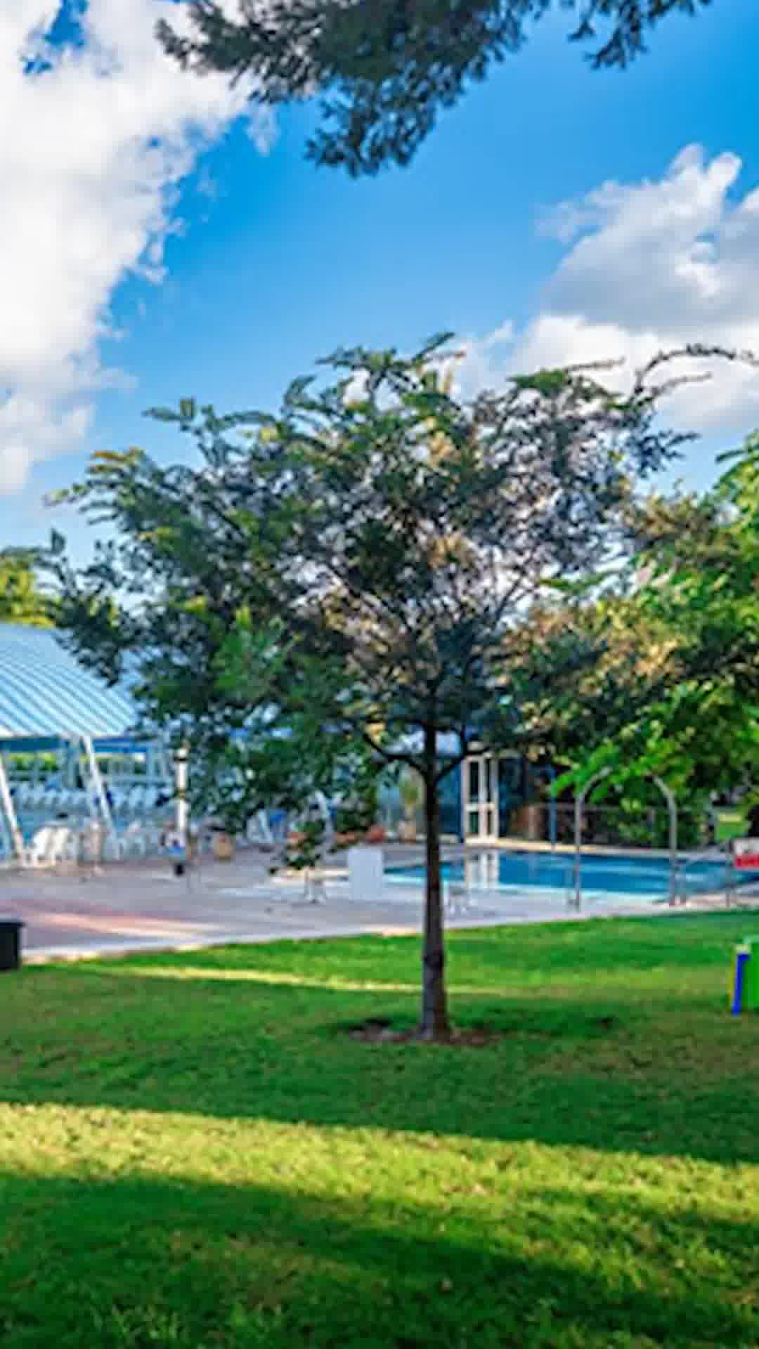 בן שנתיים טבע בבריכה ציבורית בחיפה ופונה לבית החולים במצב בינוני, מעורפל הכרה