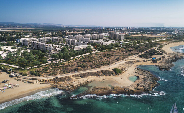 צמח אכזיב צמח אכזיב