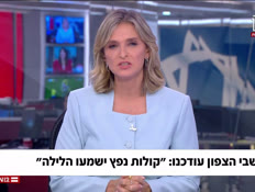 s20guy_vtr2_n20260815_v1 (צילום: חדשות)
