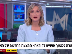 s20yael_vtr2_n20260815_v1 (צילום: חדשות)
