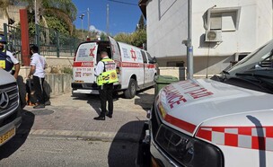 הזירה בבית שמש