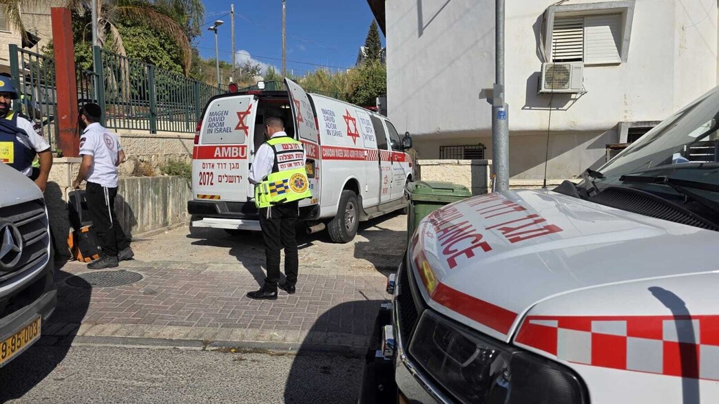 הזירה בבית שמש הזירה בבית שמש