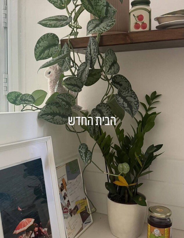 הדירה של אמיר בנאי ונועה ריינהולד הדירה של אמיר בנאי ונועה ריינהולד