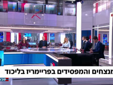 19licudpanel_vtr2_n20260818_v1 (צילום: חדשות)