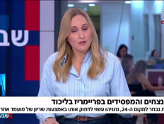 19revivo_vtr2_n20260818_v1 (צילום: חדשות)