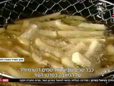 20eladvtr_vtr2_n20260819_v1 (צילום: חדשות)