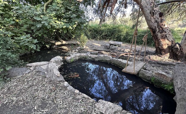 מעיין עין ניל"י